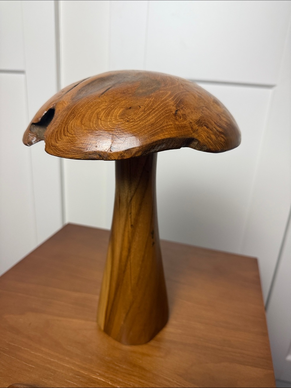 Brown Teakwood Handmade Live Edge Mushroom Sculpture with Natural Smooth Finish - Picture 6 of 11